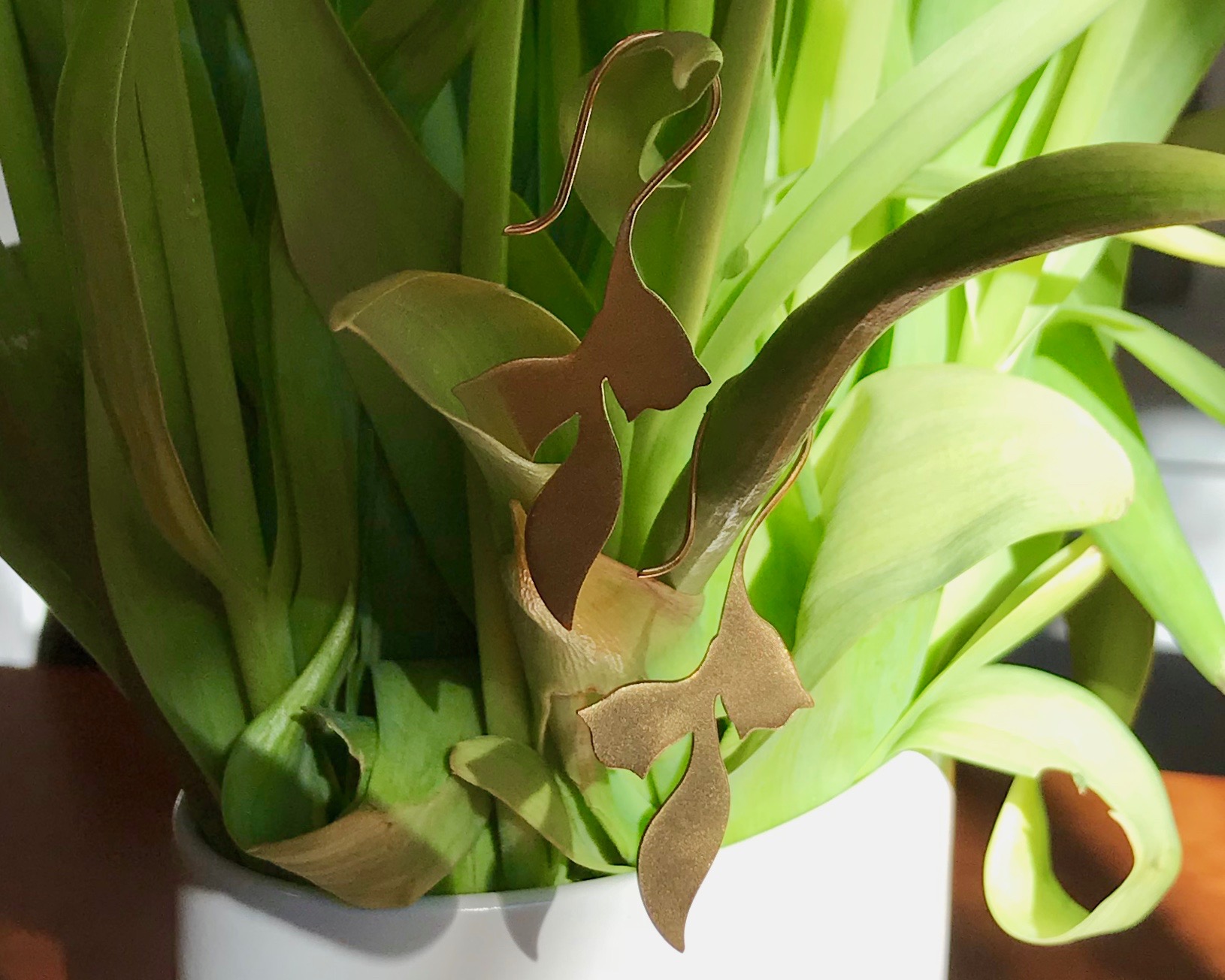 gfunkel.at BlÃ¼tenornamente fÃ¼r das Ohr thumbnail