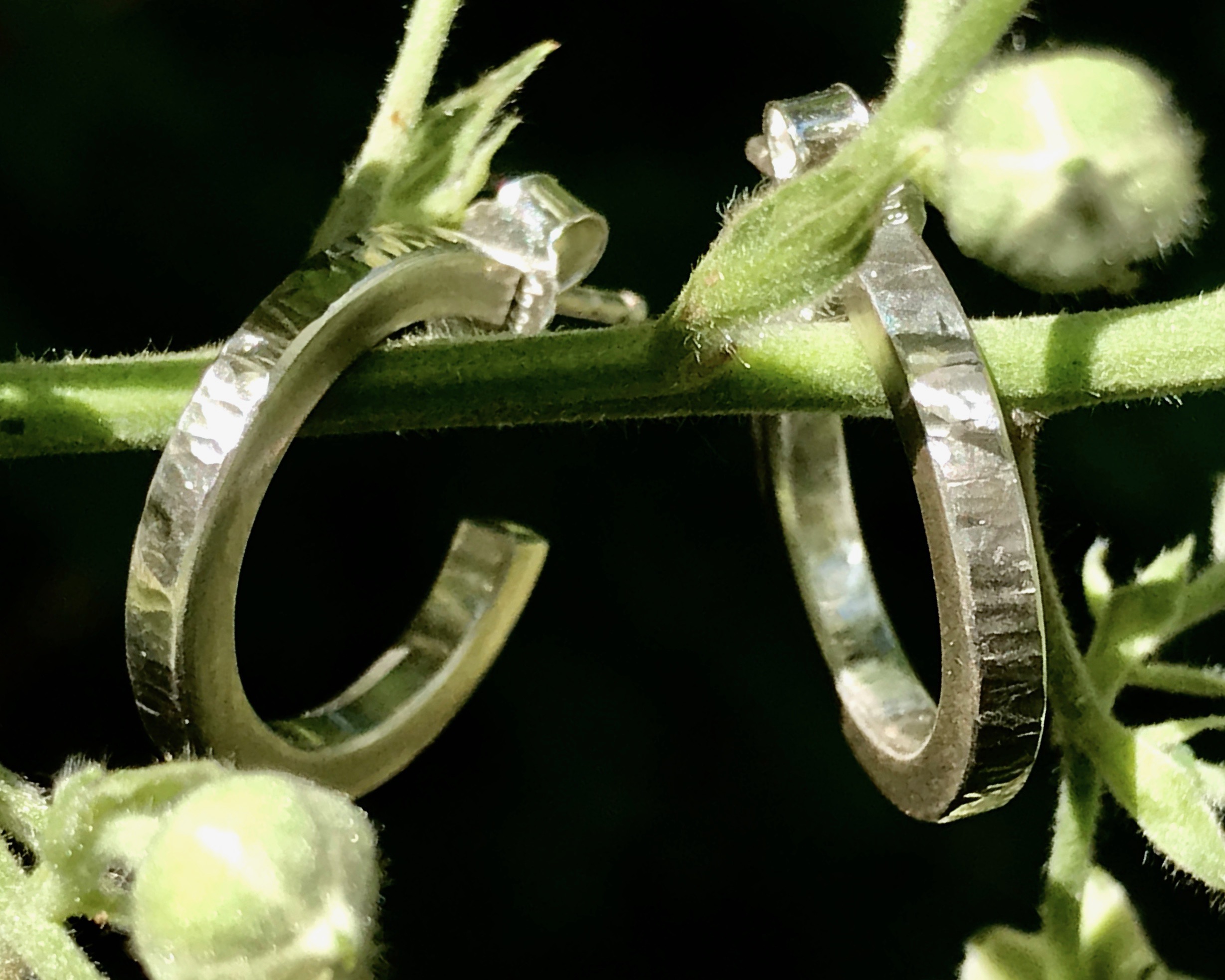 gfunkel.at Und immer wieder: Hoops! thumbnail